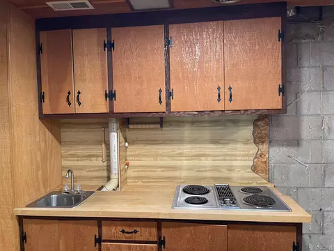 4359 Dillingham, Tecumseh, MI 49286 photo 29