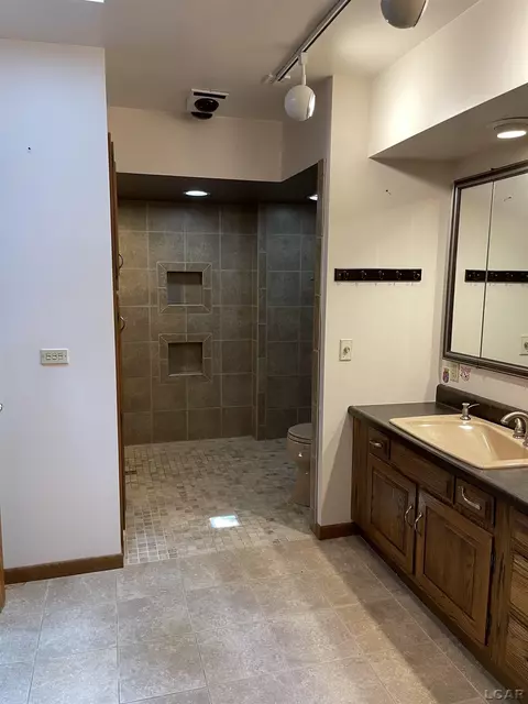 4359 Dillingham, Tecumseh, MI 49286 photo 16