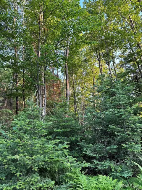 tbd S Shag Lk, Gwinn, MI 49841