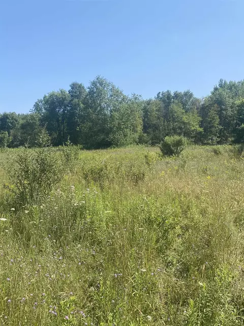 Tbd W North County Line, Lake, MI 48632