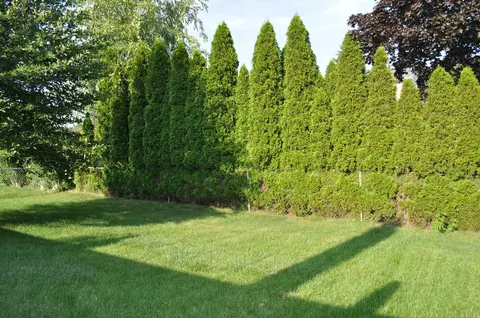 Exterior - 47476 Concord, Macomb, MI 48044 photo 3 of 4