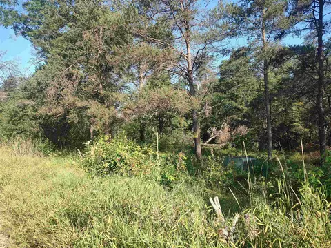 0 Dewberry, Roscommon, MI 48653 photo 2