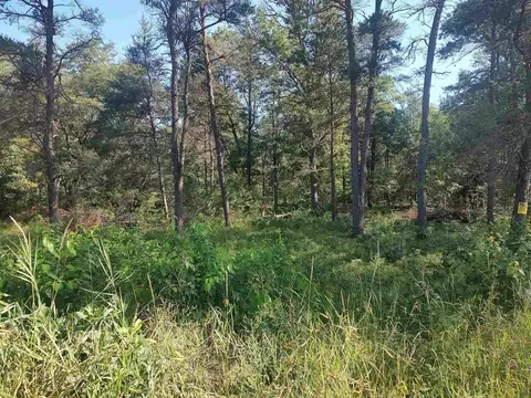 0 Dewberry, Roscommon, MI 48653 photo 3