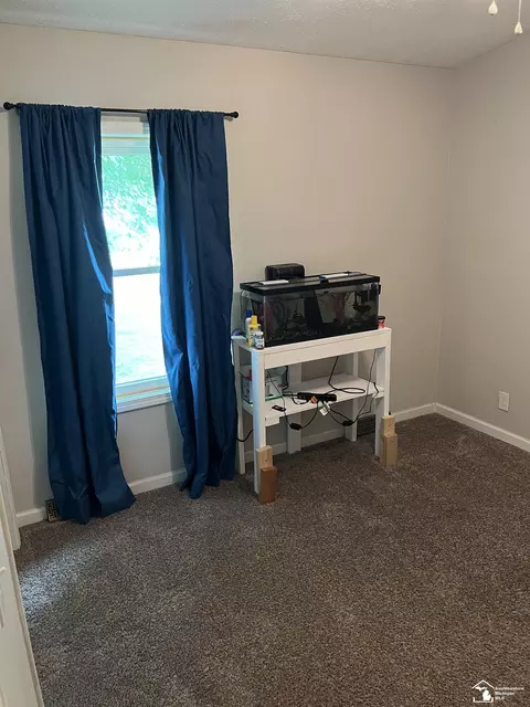 1205 Sunset, Tecumseh, MI 49286 photo 38
