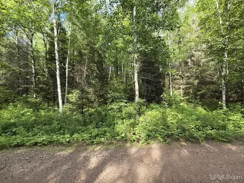 tbd E Siding, Iron River, MI 49935