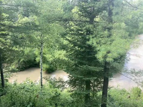 View/Area - 2153 N M-30, Gladwin, MI 48624 photo 3 of 11
