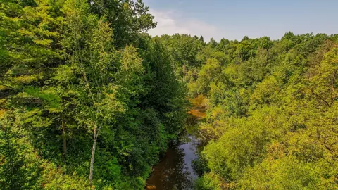 View/Area - 2153 N M-30, Gladwin, MI 48624 photo 10 of 11