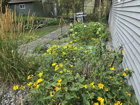 Exterior - 550 S Hemlock, Hemlock, MI 48626 photo 8 of 8