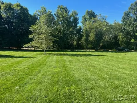 Exterior - 17126 Cole, Addison, MI 49220 photo 5 of 8