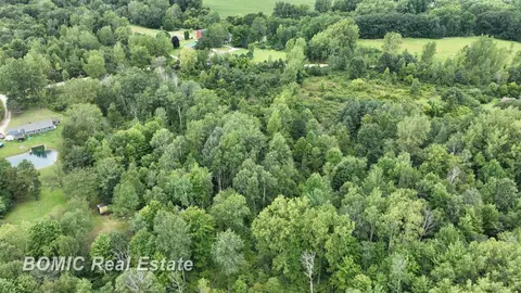00 Hess, Vassar, MI 48768 photo 5