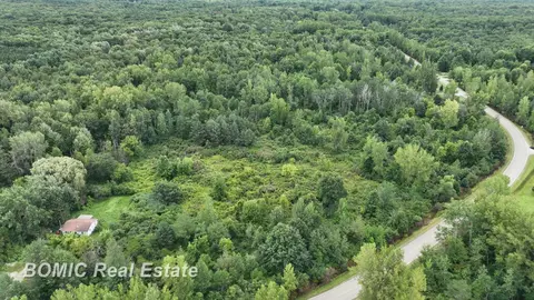 00 Hess, Vassar, MI 48768 photo 7