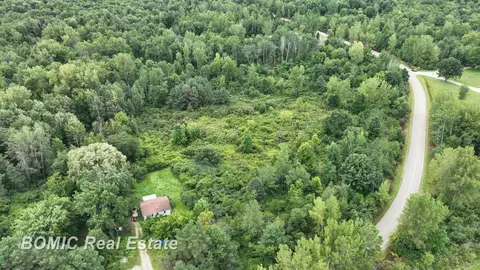 00 Hess, Vassar, MI 48768 photo 8