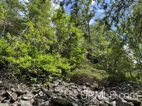 20 Acres Off Willow Crk, Ishpeming, MI 49849 photo 12