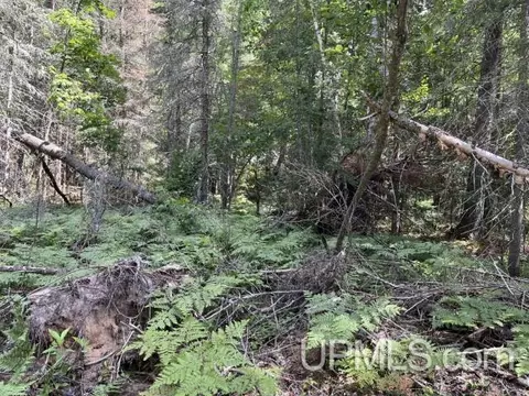 20 Acres Off Willow Crk, Ishpeming, MI 49849 photo 4