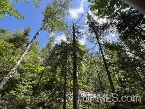 20 Acres Off Willow Crk, Ishpeming, MI 49849
