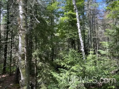 20 Acres Off Willow Crk, Ishpeming, MI 49849 photo 7