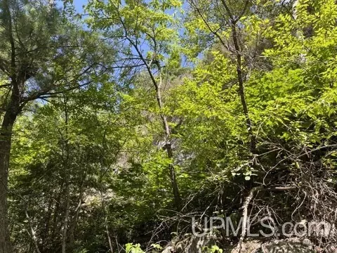 20 Acres Off Willow Crk, Ishpeming, MI 49849 photo 13