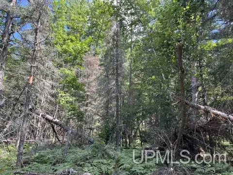 20 Acres Off Willow Crk, Ishpeming, MI 49849 photo 3