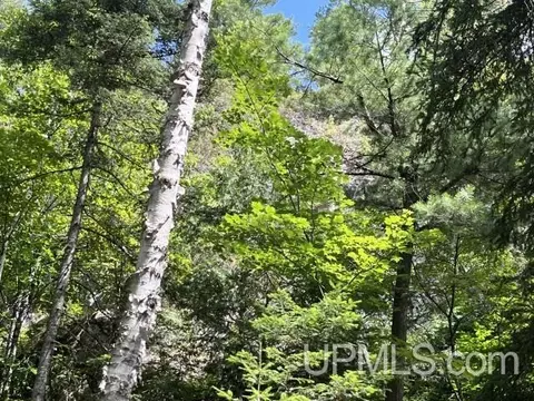 20 Acres Off Willow Crk, Ishpeming, MI 49849 photo 9