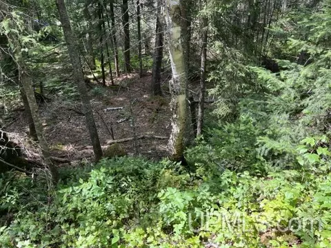 20 Acres Off Willow Crk, Ishpeming, MI 49849 photo 6