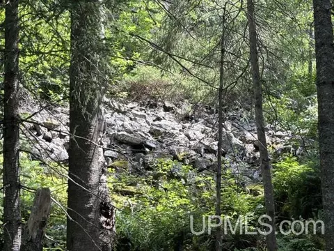 20 Acres Off Willow Crk, Ishpeming, MI 49849 photo 17