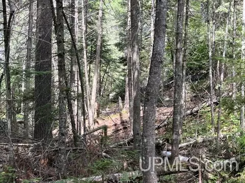 20 Acres Off Willow Crk, Ishpeming, MI 49849 photo 2