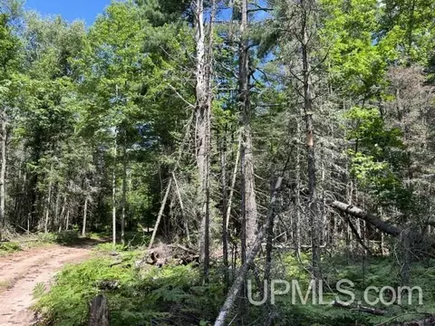 20 Acres Off Willow Crk, Ishpeming, MI 49849 photo 5