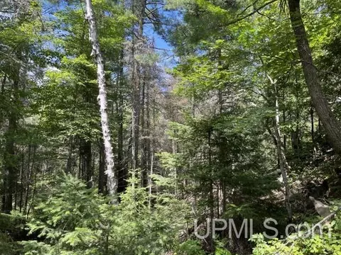 20 Acres Off Willow Crk, Ishpeming, MI 49849 photo 14