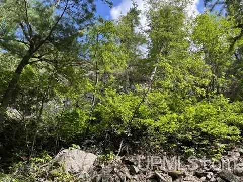 20 Acres Off Willow Crk, Ishpeming, MI 49849 photo 11
