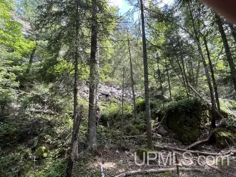 20 Acres Off Willow Crk, Ishpeming, MI 49849 photo 16