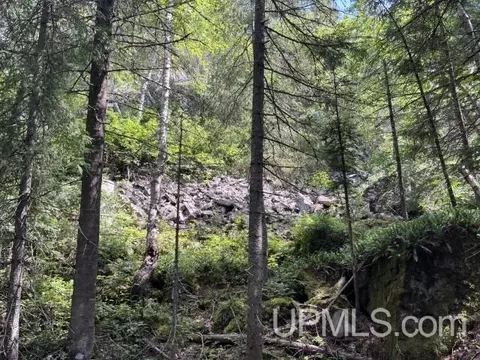 20 Acres Off Willow Crk, Ishpeming, MI 49849 photo 10