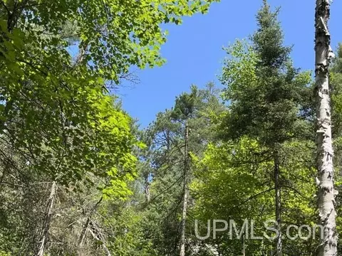 20 Acres Off Willow Crk, Ishpeming, MI 49849 photo 8