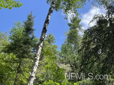 20 Acres Off Willow Crk, Ishpeming, MI 49849 photo 15