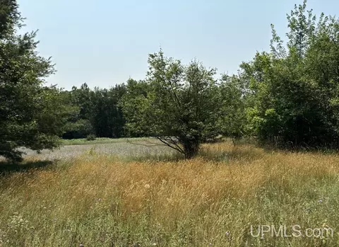 tbd Lot 3 Lahti, Houghton, MI 49931
