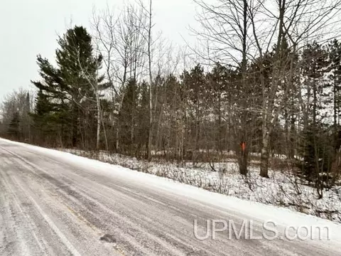 Tbd3 Larson, Atlantic Mine, MI 49905