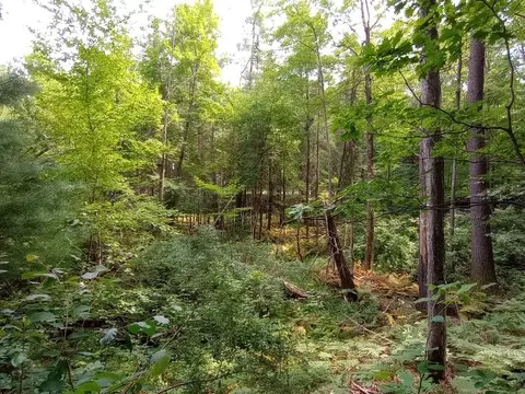 Ranch 6 Blue Lake, Gladwin, MI 48624 photo 10