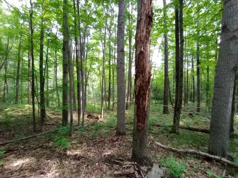 Ranch 6 Blue Lake, Gladwin, MI 48624 photo 9
