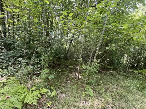 9 W 5 Acres W Clarence, Harrison, MI 48625 photo 3