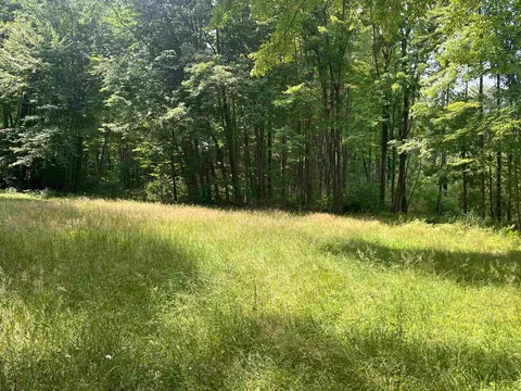 9 W 5 Acres W Clarence, Harrison, MI 48625 photo 11