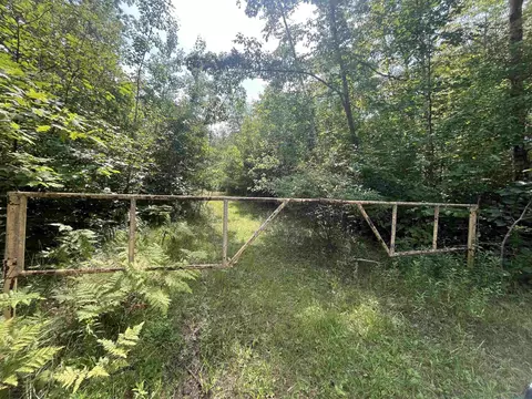 9 W 5 Acres W Clarence, Harrison, MI 48625