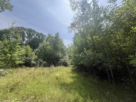 9 W 5 Acres W Clarence, Harrison, MI 48625 photo 2