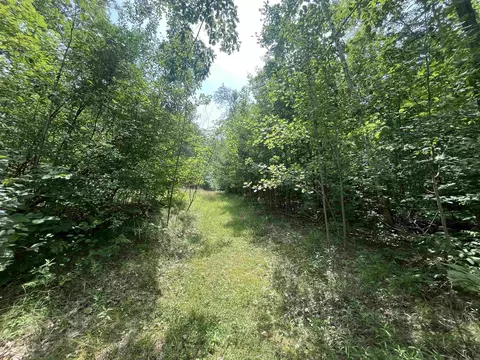 9 W 5 Acres W Clarence, Harrison, MI 48625 photo 4