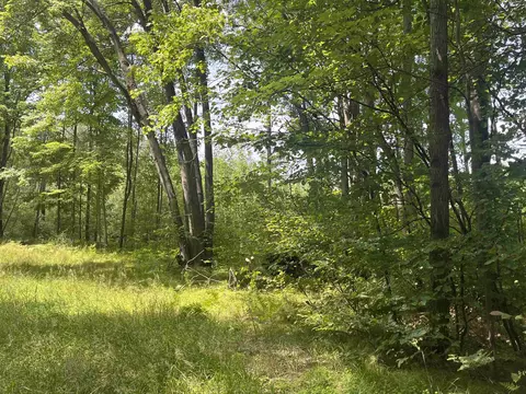 9 W 5 Acres W Clarence, Harrison, MI 48625 photo 9