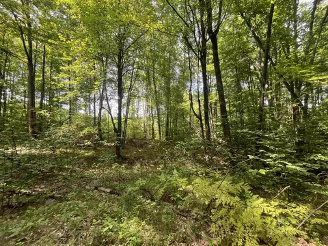 9 W 5 Acres W Clarence, Harrison, MI 48625 photo 8