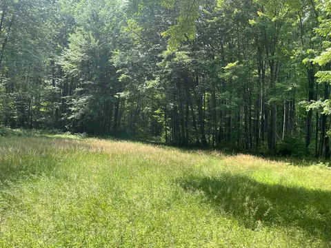9 W 5 Acres W Clarence, Harrison, MI 48625 photo 10