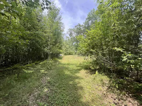 9 W 5 Acres W Clarence, Harrison, MI 48625 photo 5