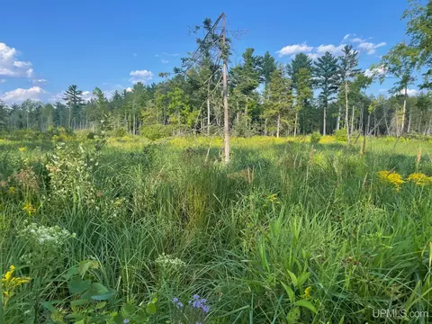 Co Rd 356, Stephenson, MI 49887 photo 7