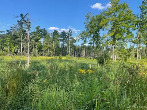 Co Rd 356, Stephenson, MI 49887 photo 36