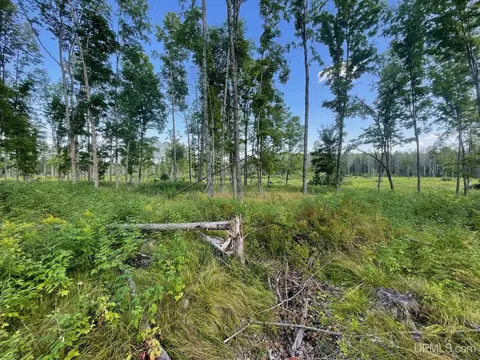 Co Rd 356, Stephenson, MI 49887 photo 8