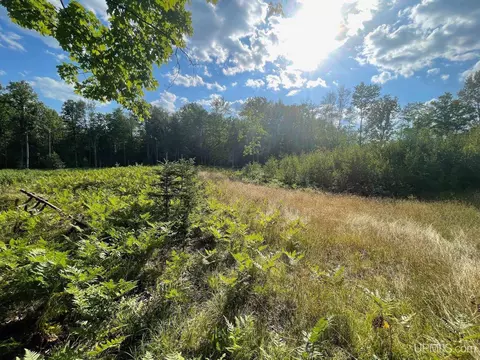 Co Rd 356, Stephenson, MI 49887 photo 20
